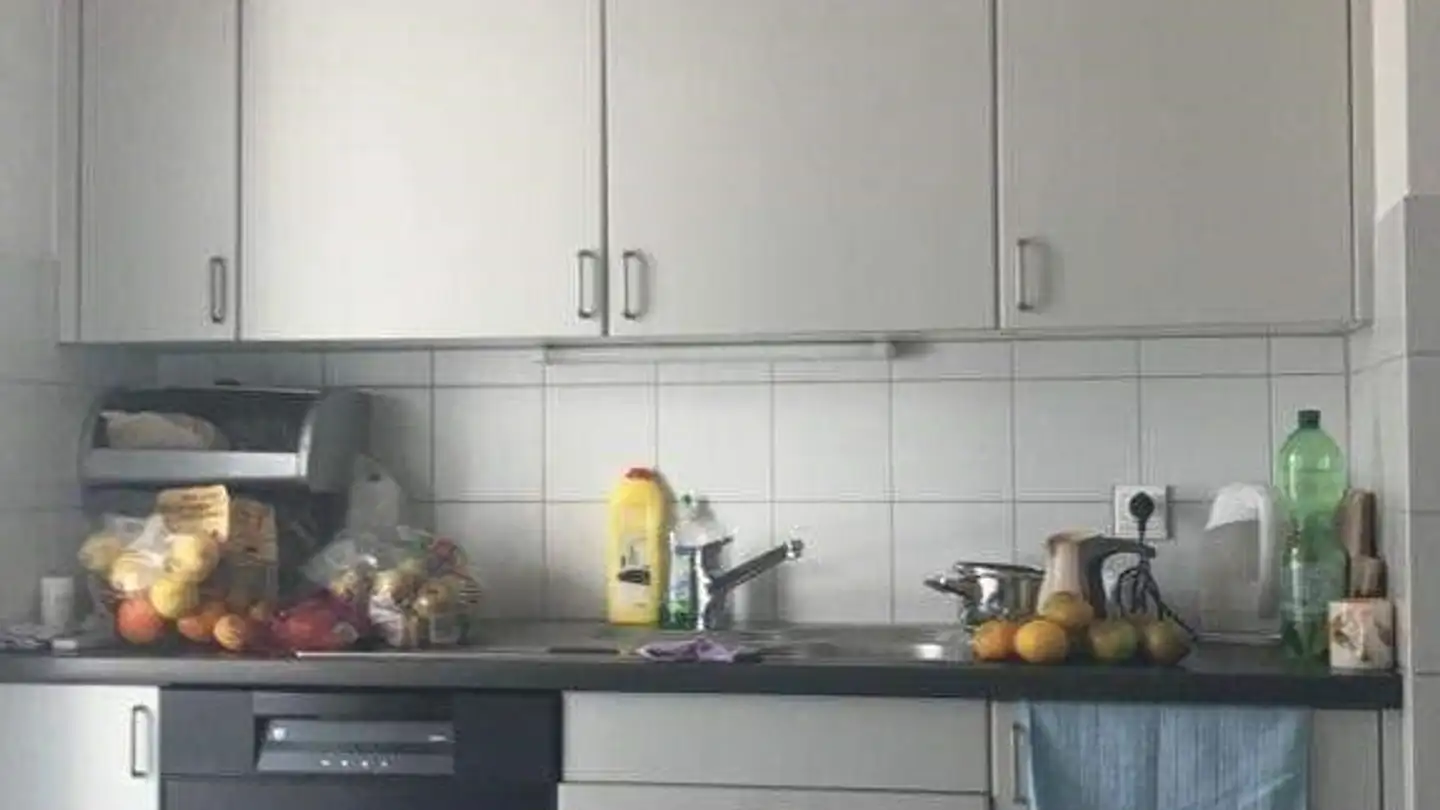 Apartment for rent - Rue De La Carrière, 1700 Fribourg - Photo 2