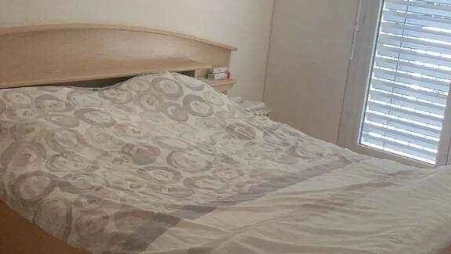 Apartment for rent - Rue De La Carrière, 1700 Fribourg - Photo 4