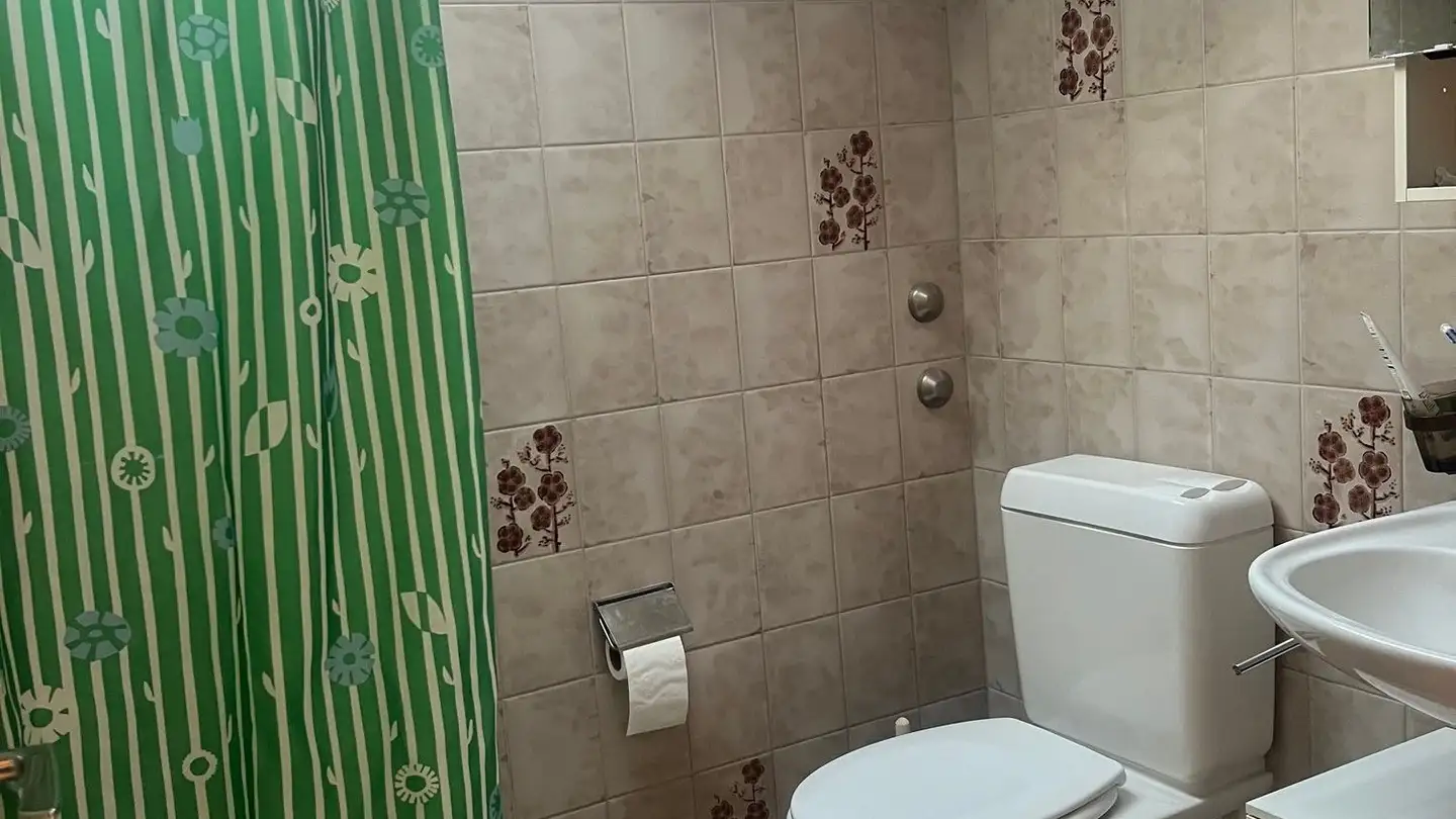 Attic flat for rent - Sälistrasse 26, 4800 Zofingen - Photo 2