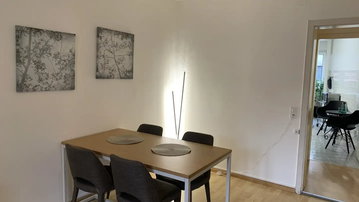 Appartamento ammobiliato in affitto - Elisabethenstrasse 39, 4051 Basel - Foto 3