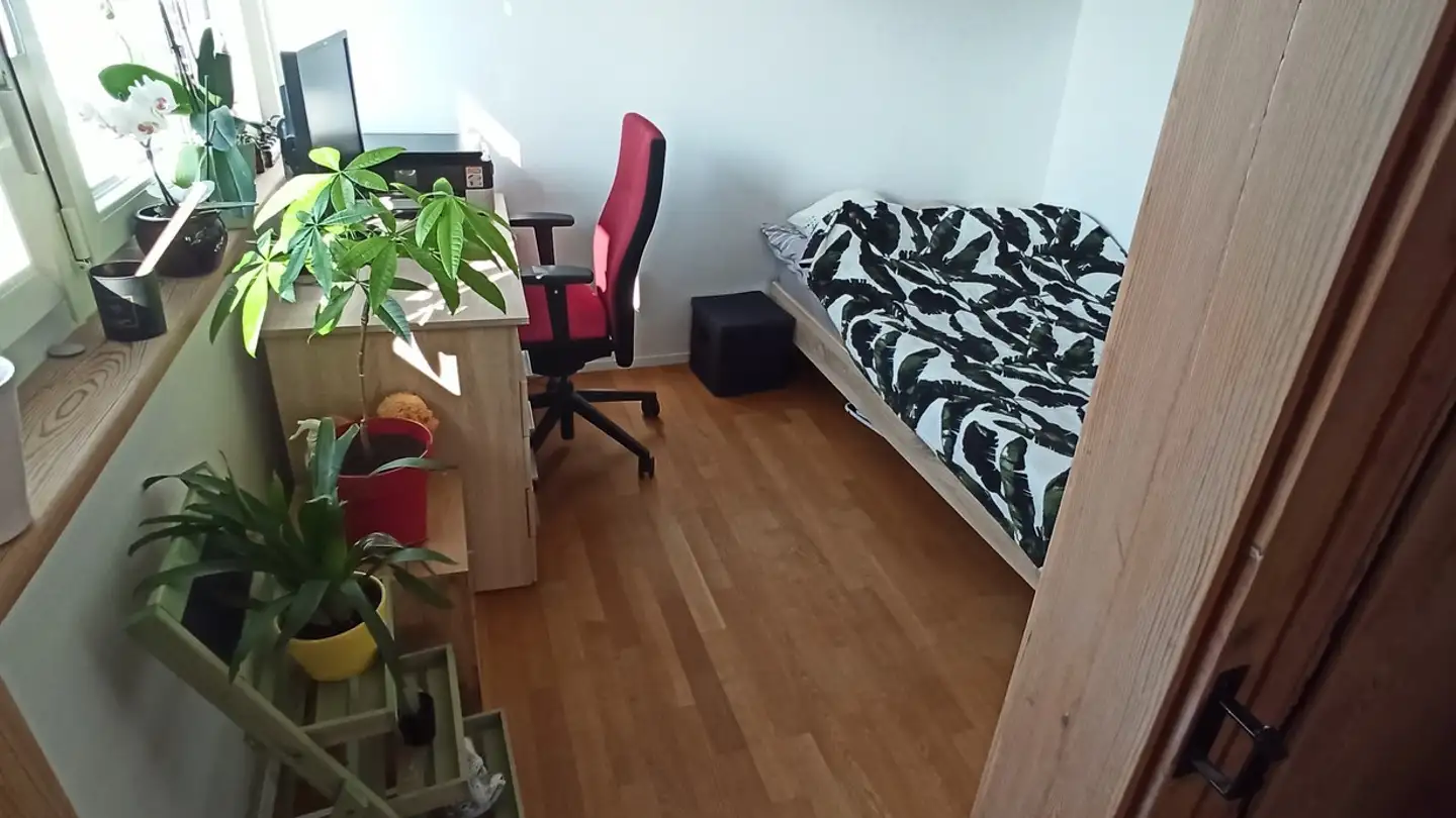 Wohnung mieten - 9500 Wil SG
