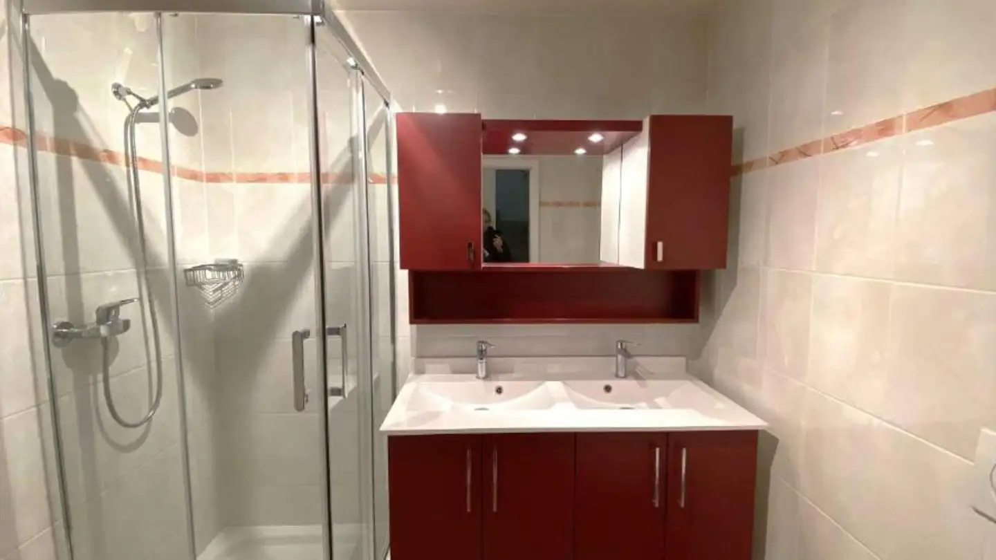 Appartement à louer - Route du Grand-Lancy 50, 1212 Grand-Lancy - Photo 4