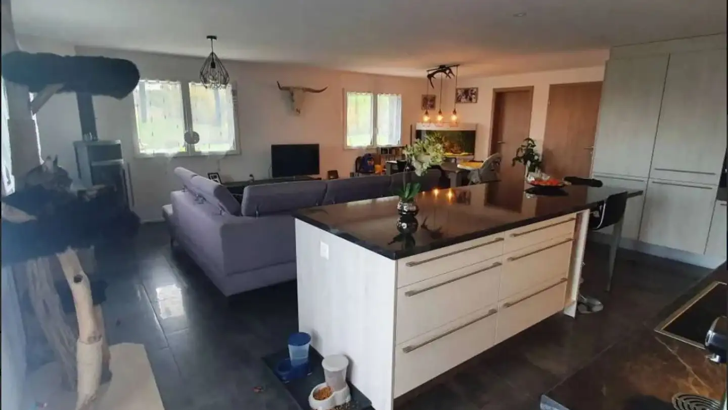 Appartamento in affitto - Chemin De Pra Motta 5, 1688 Sommentier - Foto 2