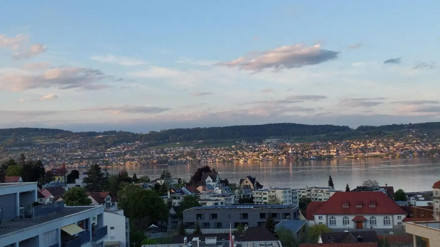 Duplex for rent - Fuhrstrasse 45, 8820 Wädenswil