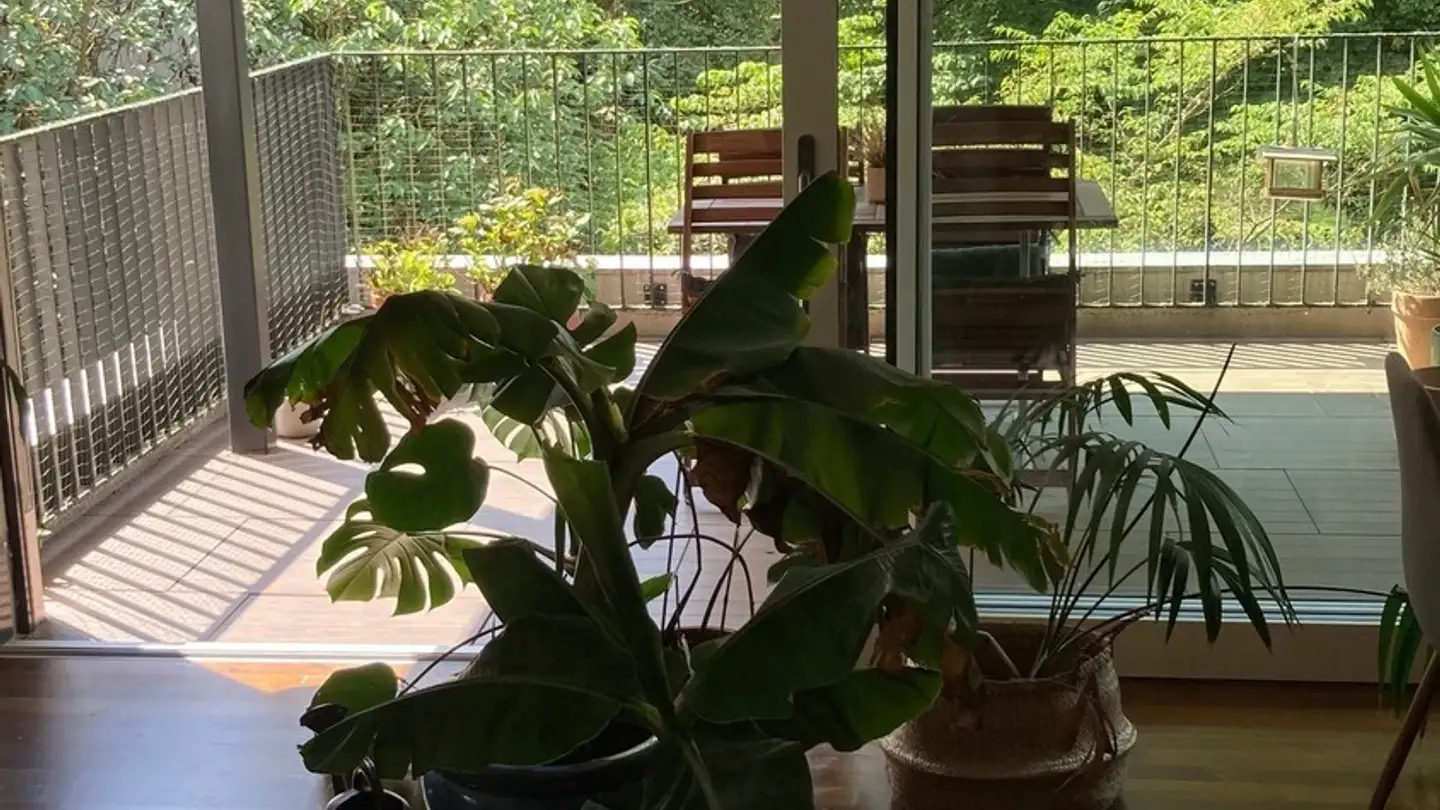 Apartment for rent - Waldstrasse 20, 8125 Zollikerberg - Photo 2