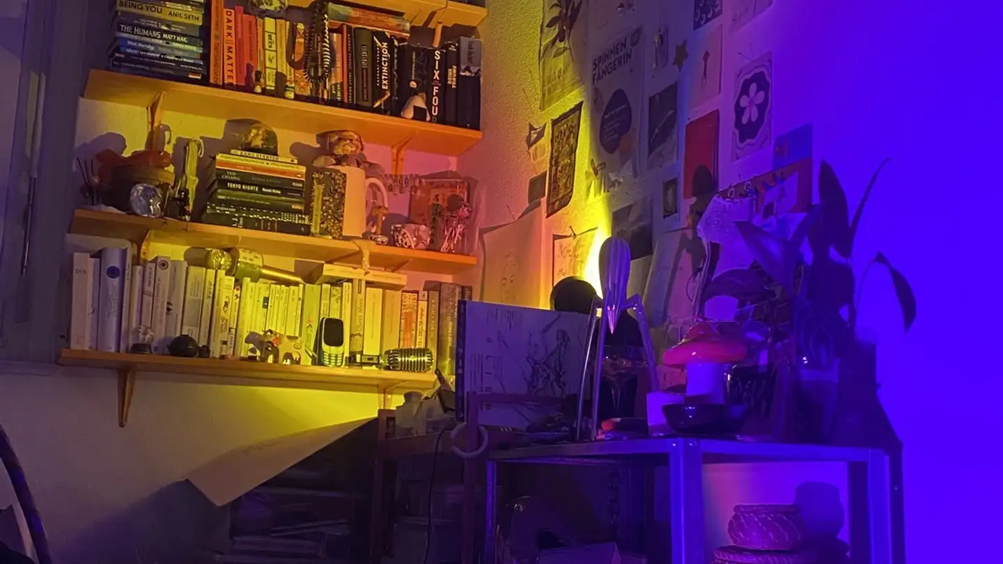 Chambre à louer - Letzigraben 241, 8047 Zürich - Photo 2