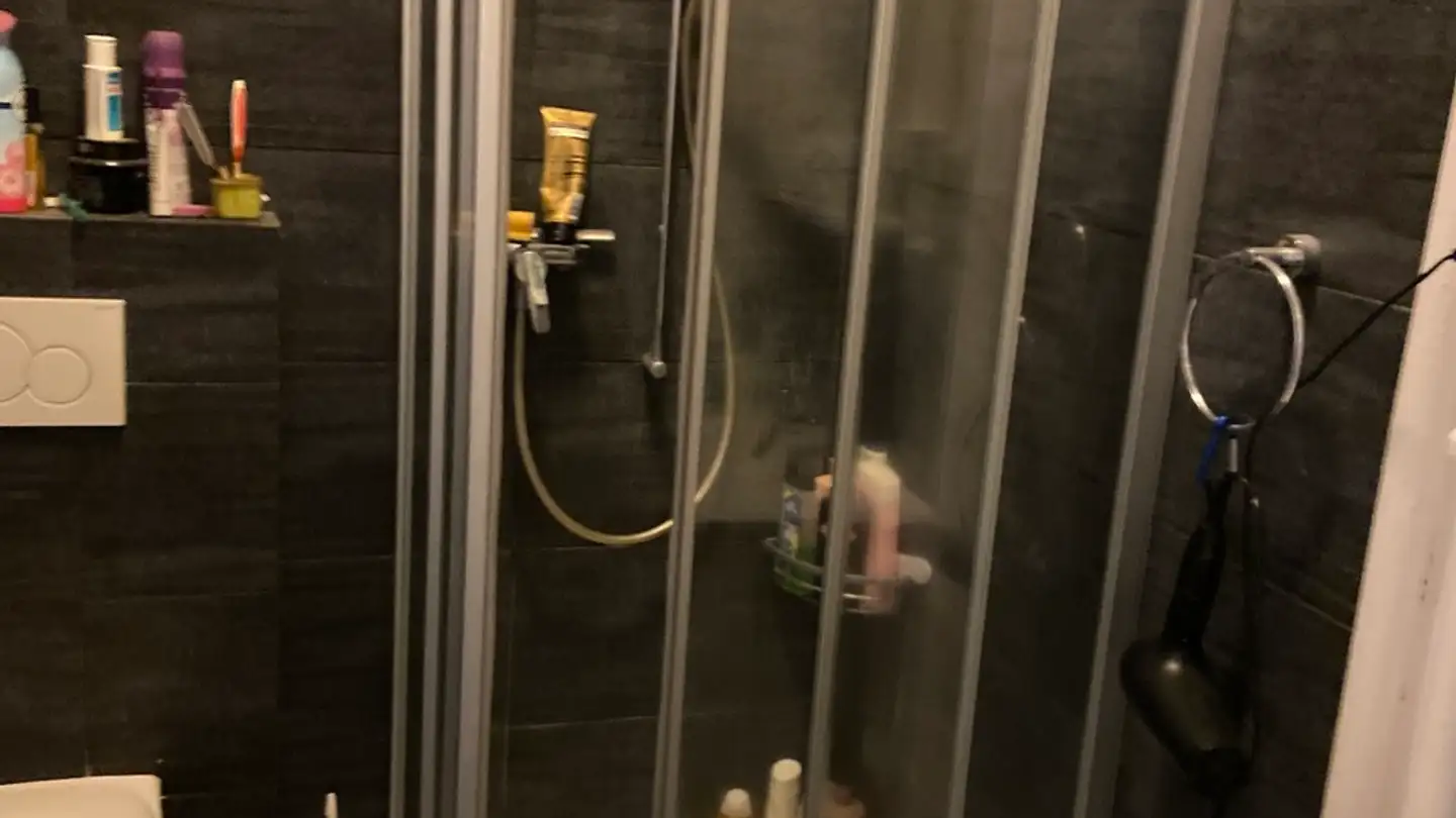 Appartamento in affitto - Rue François-D'alt 3, 1700 Fribourg - Foto 4