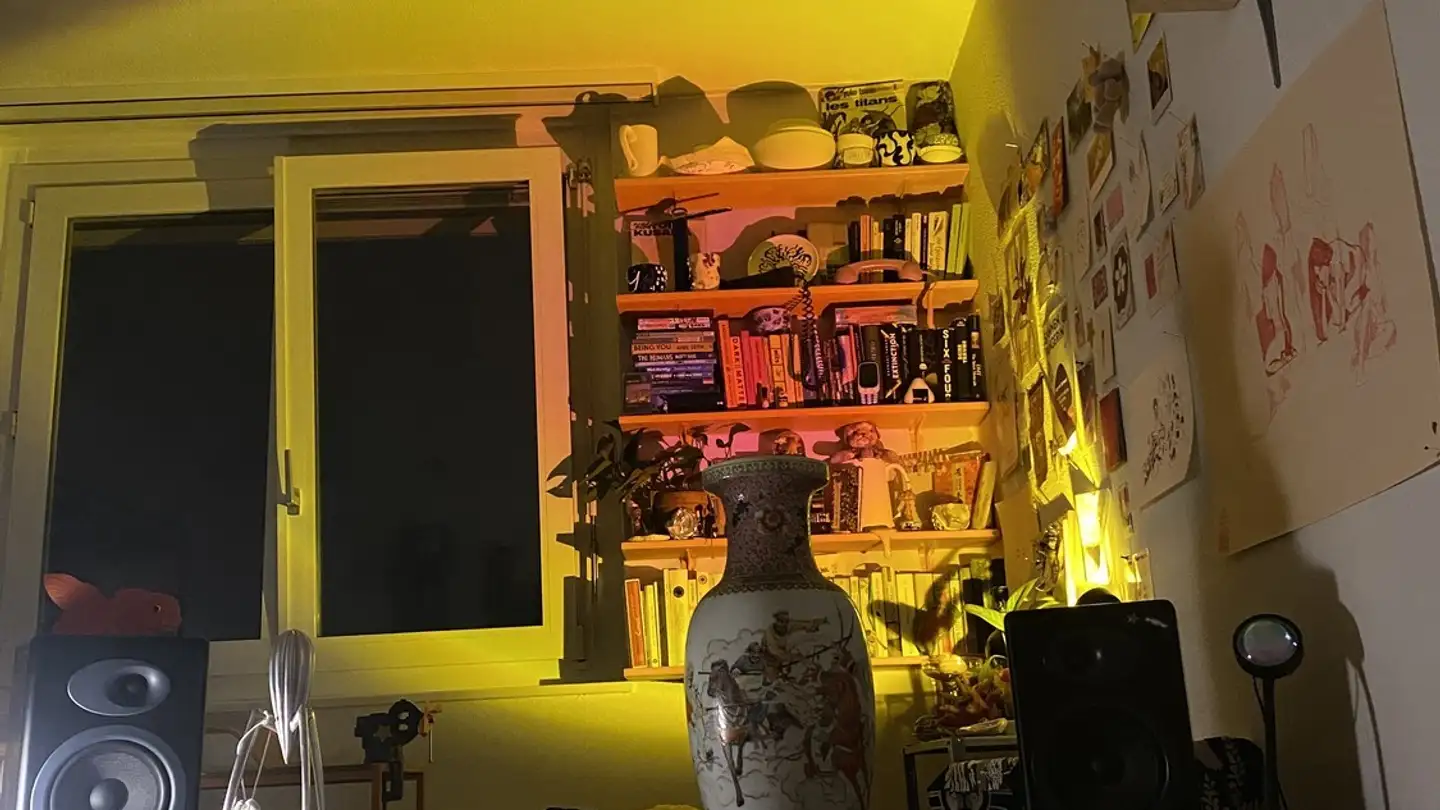 Chambre à louer - Letzigraben 241, 8047 Zürich - Photo 3