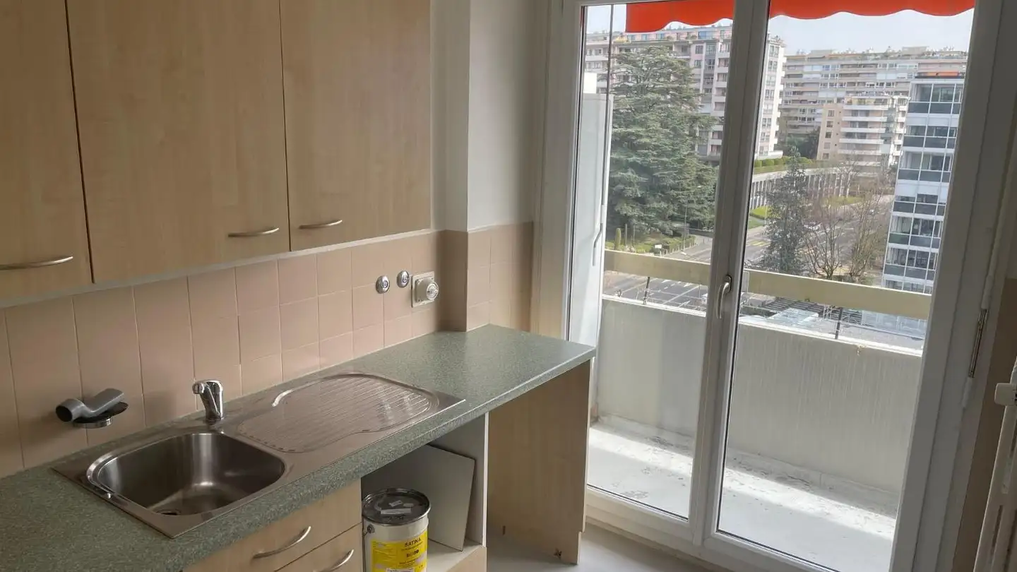 Appartement à vendre - Route de Florissant, 1206 Genève - Photo 2