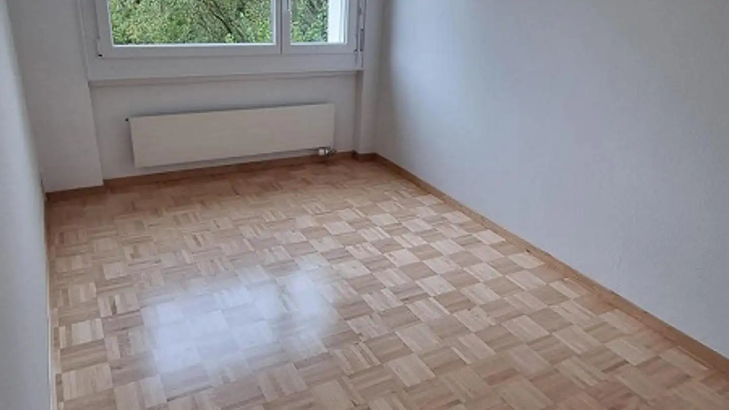 Appartamento in affitto - Höllbündtenstrasse 21, 8964 Rudolfstetten - Foto 4