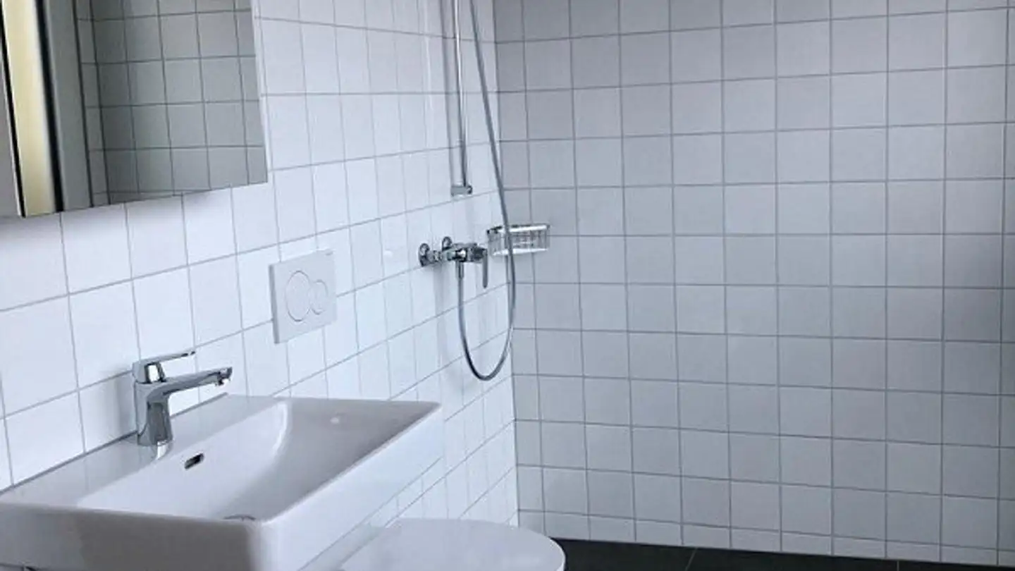 Wohnung mieten - Luzernerstrasse 141m, 6014 Luzern - Foto 3