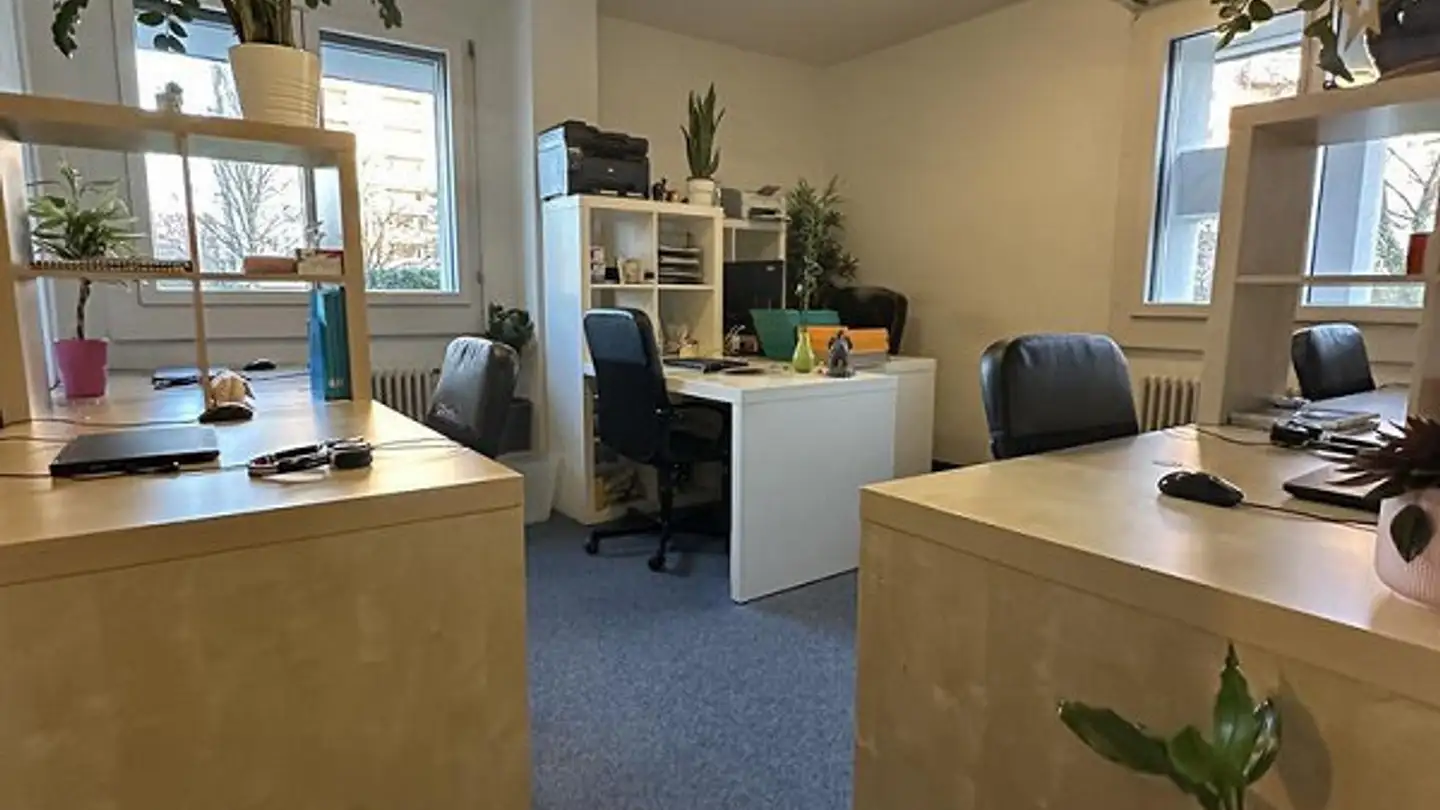 Commercial for rent - Rheinparkstrasse 1, 4127 Birsfelden - Photo 3