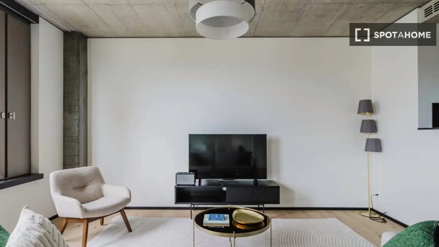 Appartement à louer - 8050 Zürich