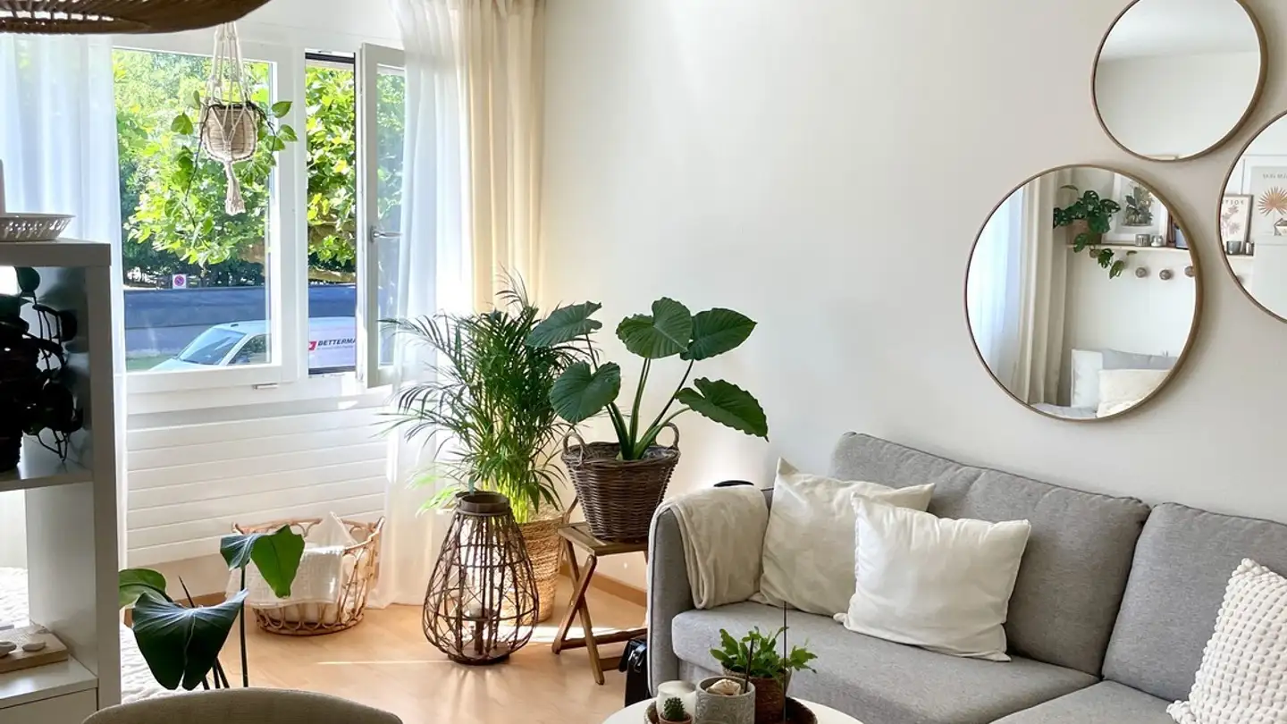 Wohnung mieten - Speiserstrasse 36, 4600 Olten