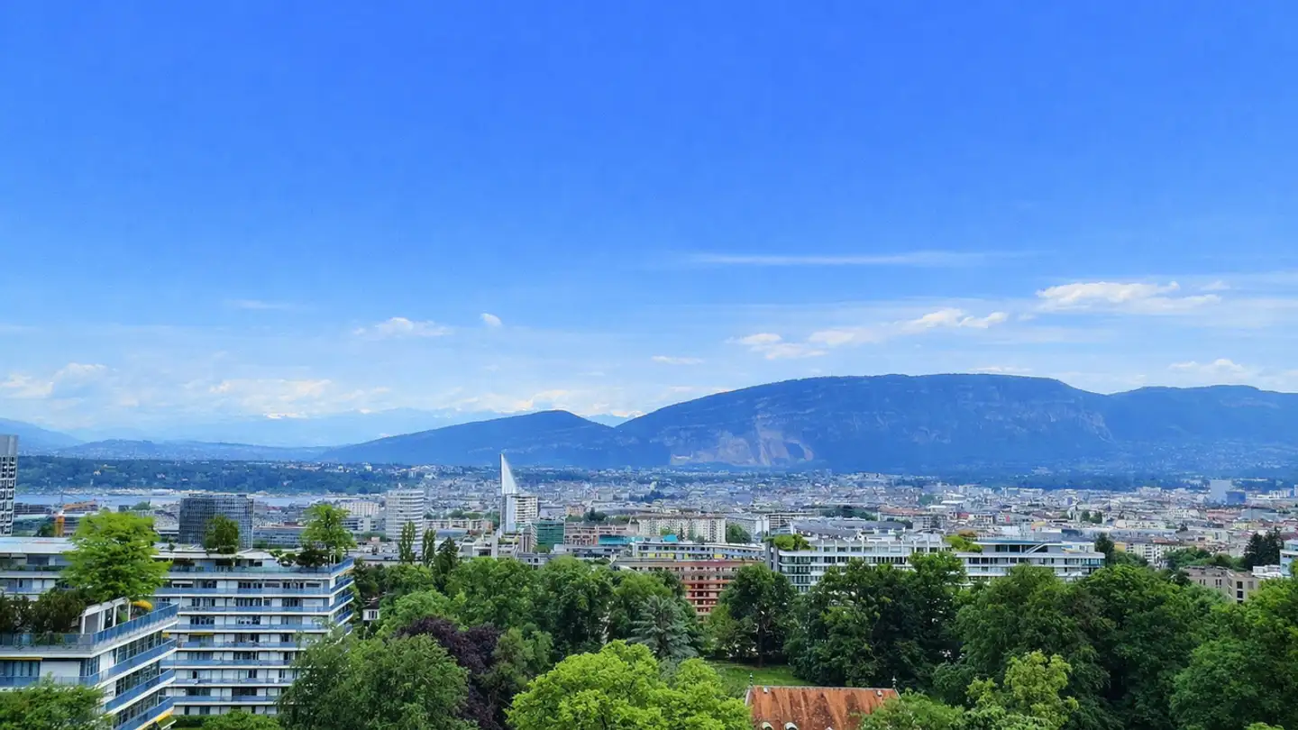 Appartement à vendre - Avenue De-Budé, 1202 Genève
