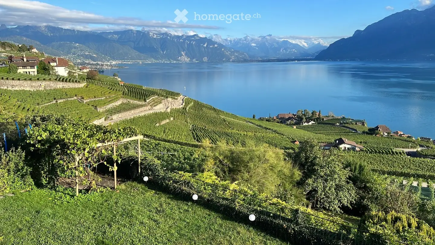 Appartamento in affitto - Rue Du Bourg De Plaît, 1071 Chexbres