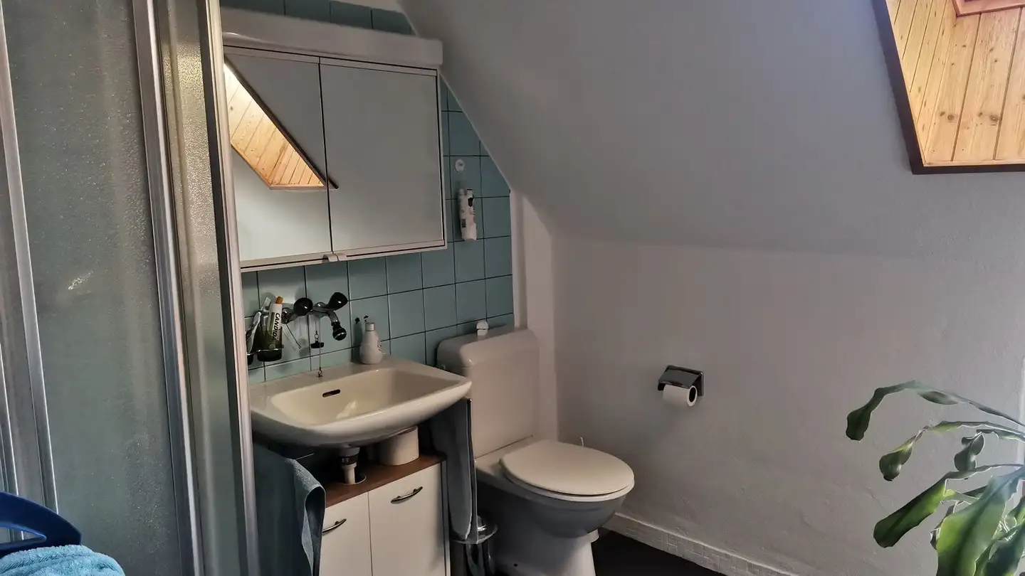 Stanza singola in affitto - Nidersaumweg 8, 8820 Wädenswil - Foto 3