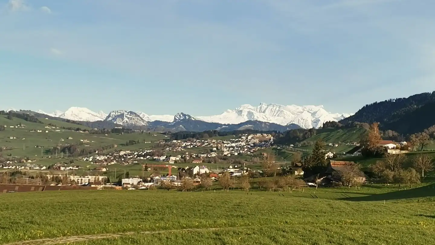 Single room for rent - Nidersaumweg 8, 8820 Wädenswil - Photo 4