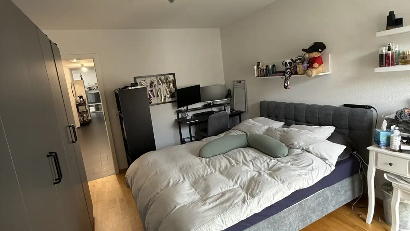 Appartamento in affitto - Rue Pierre-Ardieu 28, 1630 Bulle