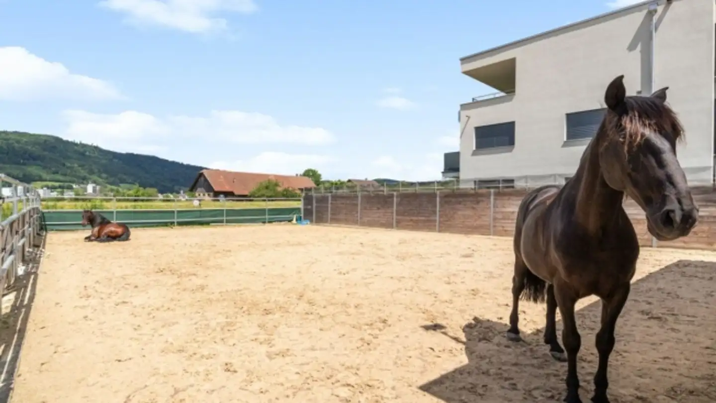 Residential building for sale - 4600 Olten - Photo 3