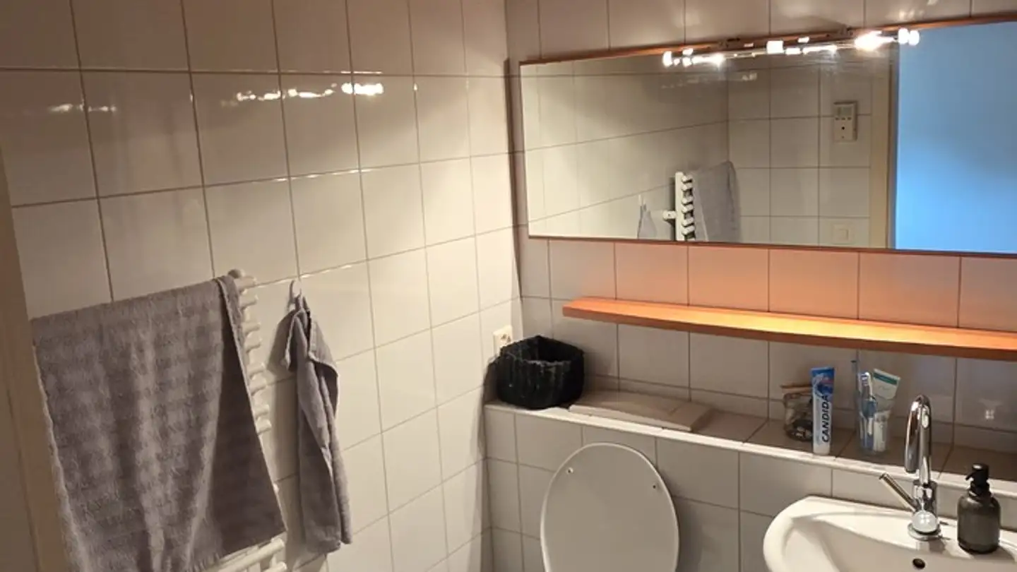 Stanza singola in affitto - Bänkliholzweg 25, 8335 Hittnau - Foto 4