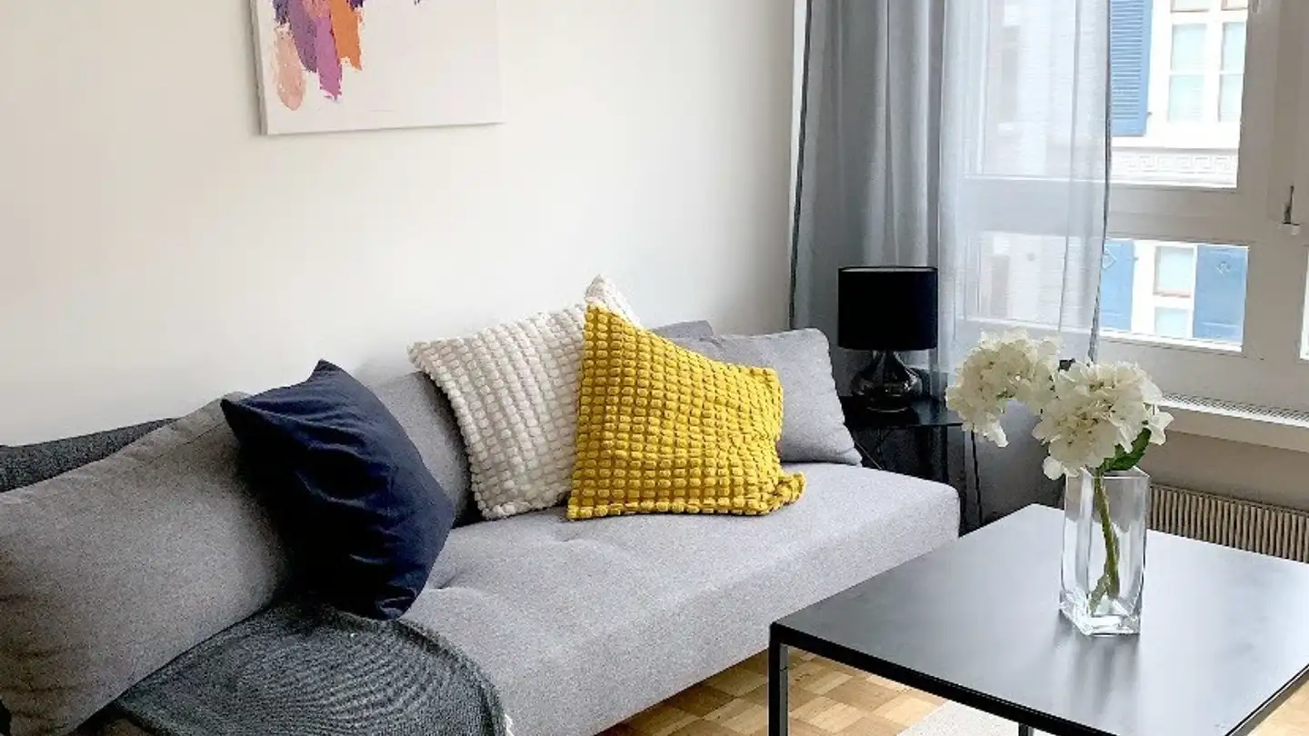 Appartamento ammobiliato in affitto - Spalentorweg 17, 4051 Basel