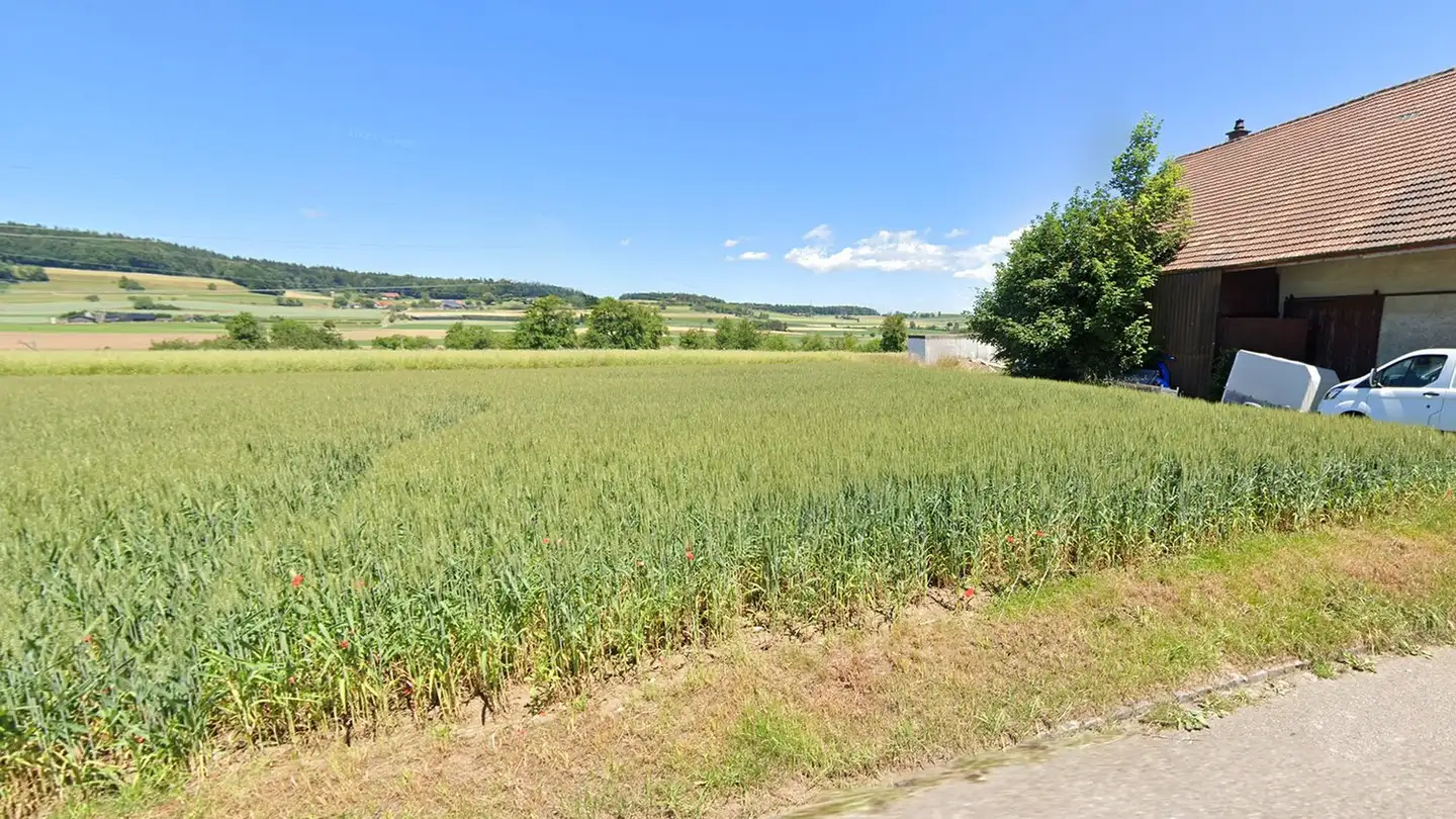 Constructible plot for sale - Regensbergerstrasse 24, 8162 Sünikon - Photo 4