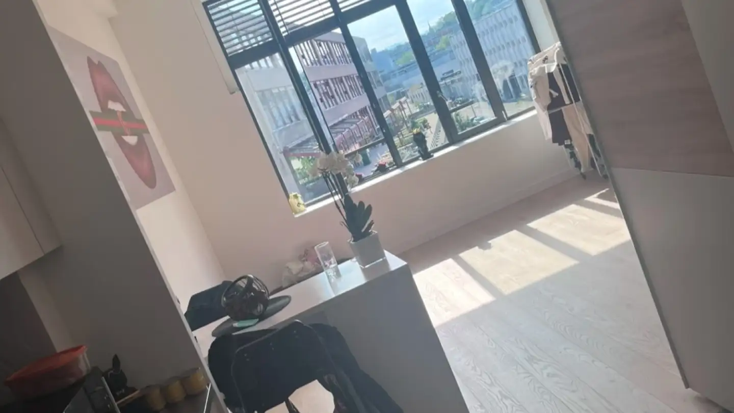 Appartamento in affitto - Avenue De Sévelin 15, 1004 Lausanne