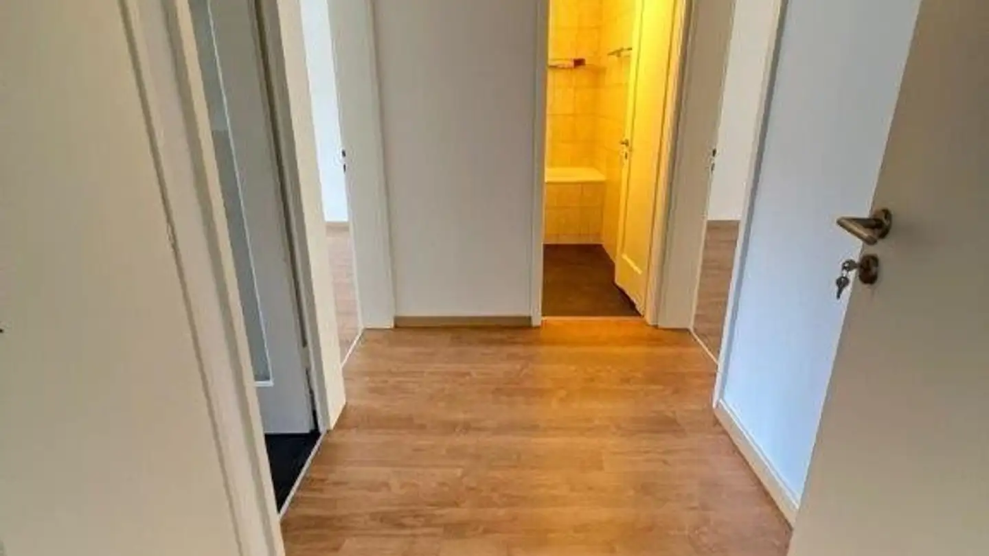 Appartamento in affitto - Döltschiweg 31, 8055 Zürich - Foto 4