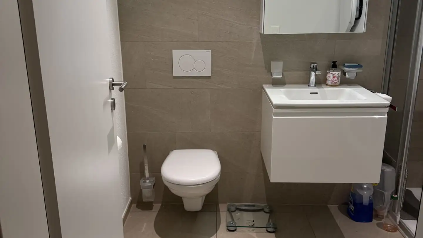 Wohnung mieten - Breitestrasse 56d, 5734 Reinach AG