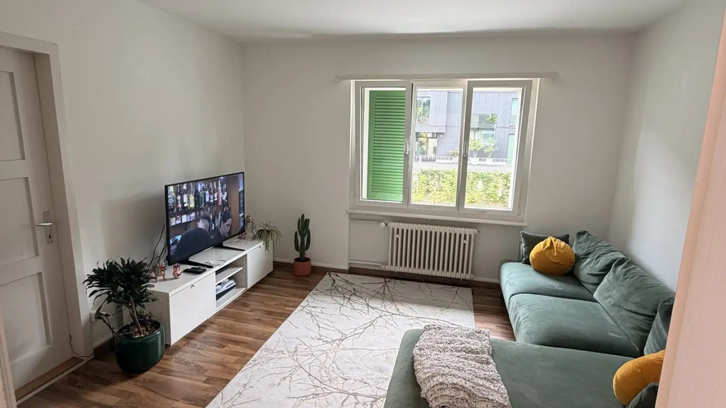 Single room for rent - 6030 Ebikon