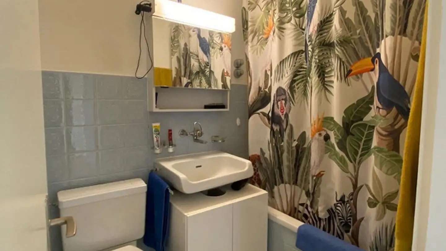 Appartamento in affitto - Witikonerstrasse 489, 8053 Zürich