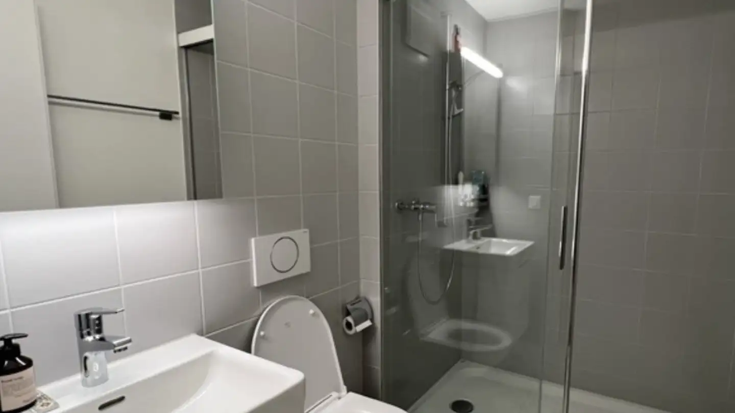 Möblierte Wohnung mieten - Birkenstrasse 3, 6003 Luzern - Foto 4