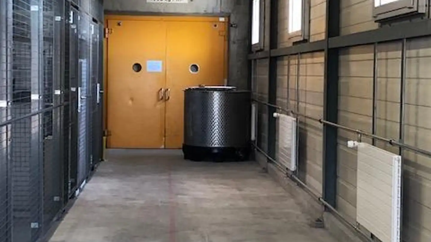 Commercial à louer - Hinterbergstrasse 56, 6312 Steinhausen