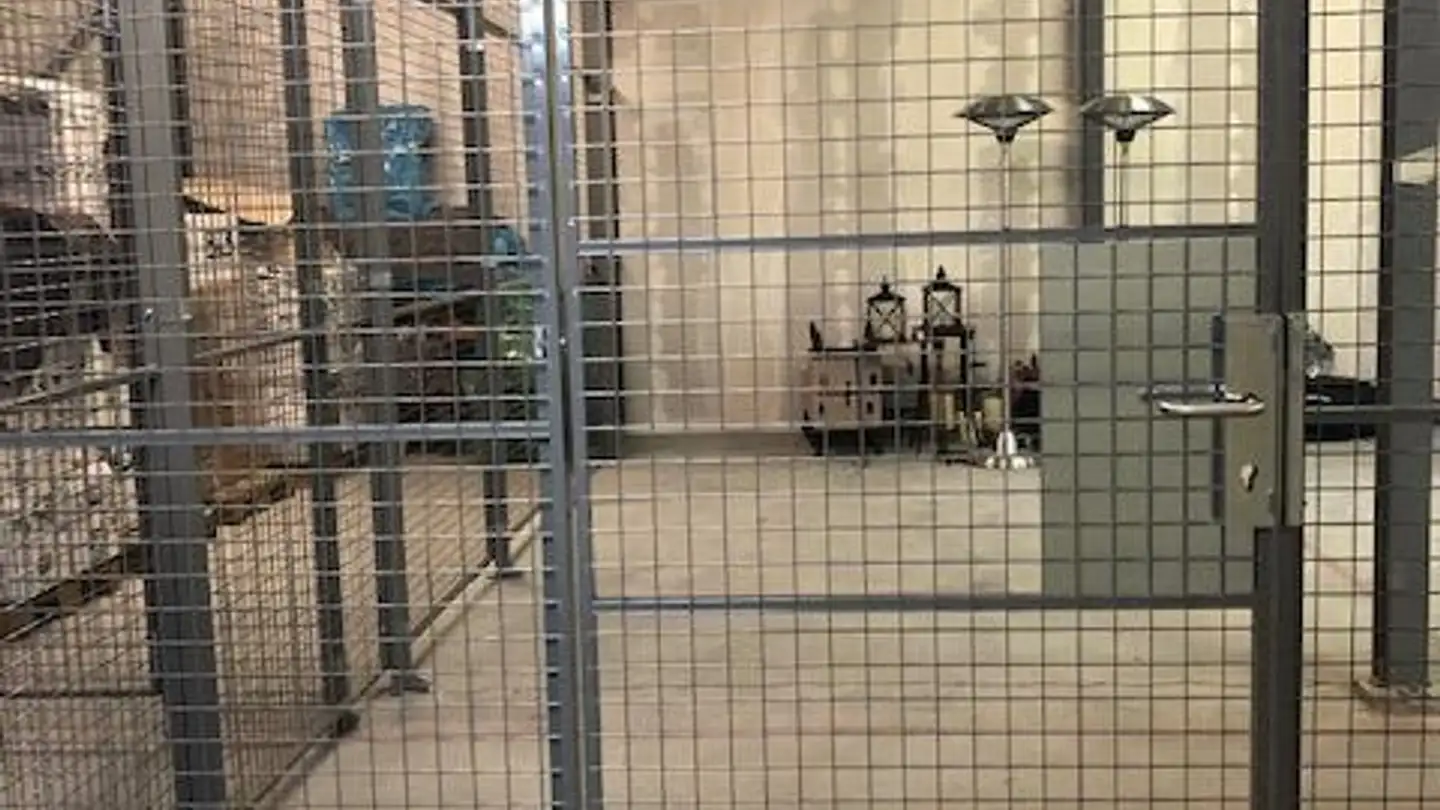 Commerciale in affitto - Hinterbergstrasse 56, 6312 Steinhausen - Photo 2