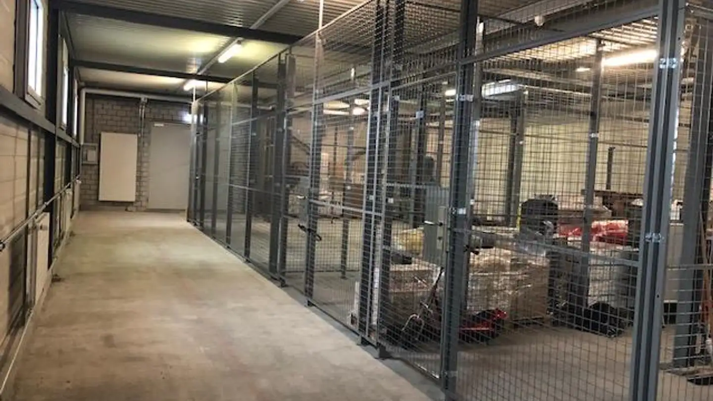 Commerciale in affitto - Hinterbergstrasse 56, 6312 Steinhausen - Photo 4