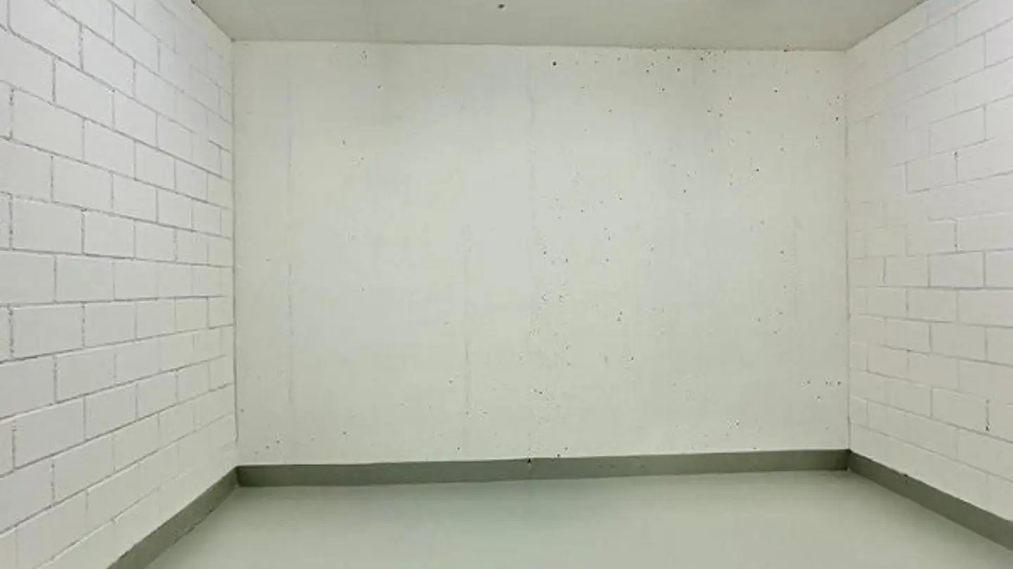 Storage space for rent - Dorfstrasse 21, 9306 Freidorf TG - Photo 3