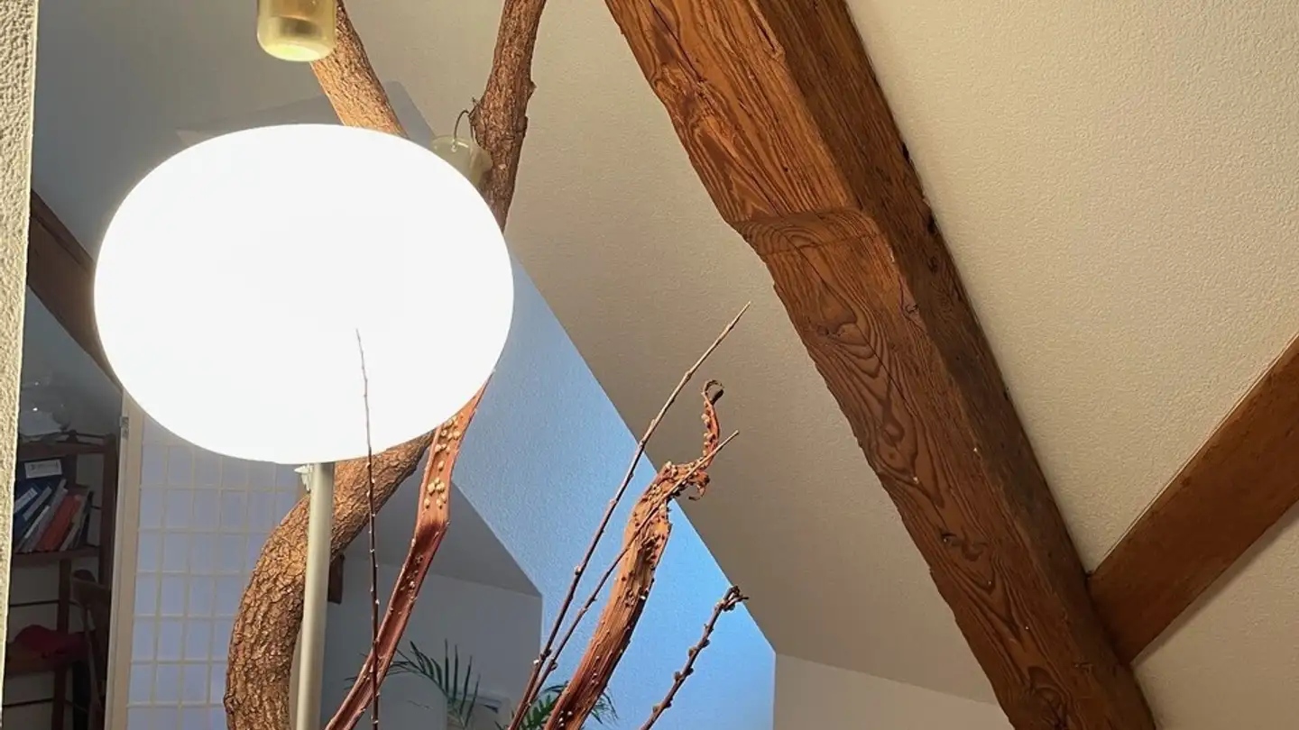 Dachgeschosswohnung mieten - Kapellplatz, 6004 Luzern - Foto 2