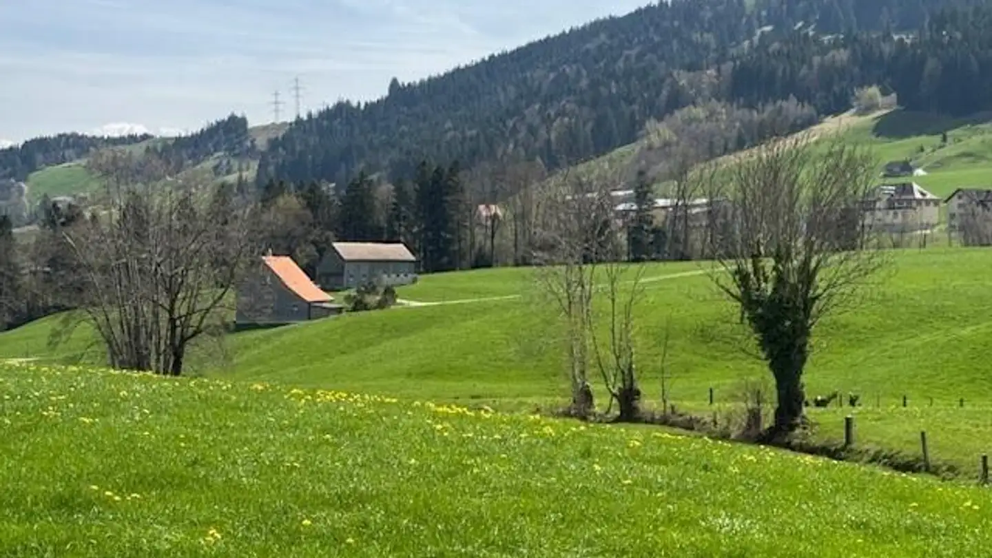 Single house for sale - Eichbergstrasse 6, 9050 Appenzell Eggerstanden - Photo 4