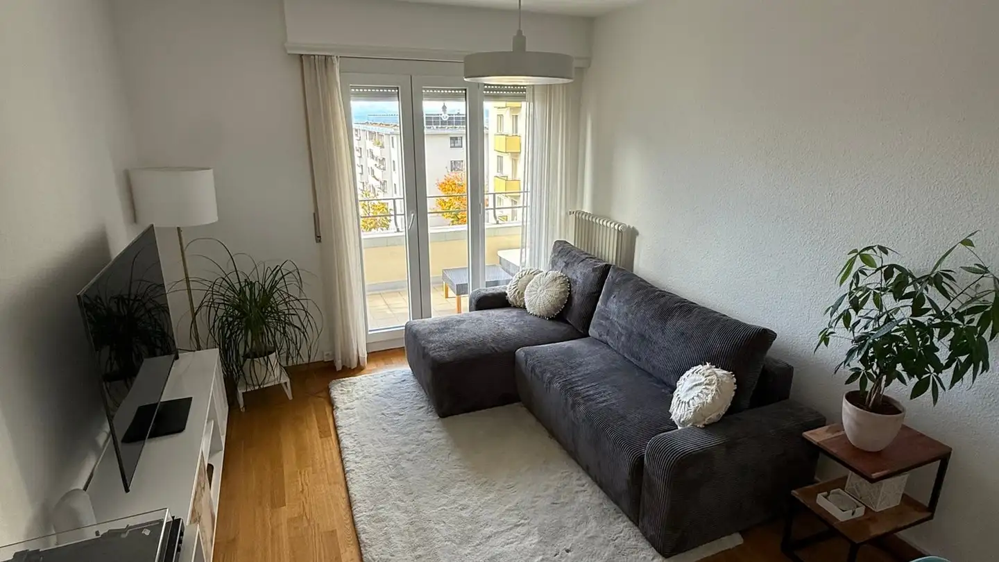 Appartamento in affitto - Chemin De Pierrefleur, 1004 Lausanne