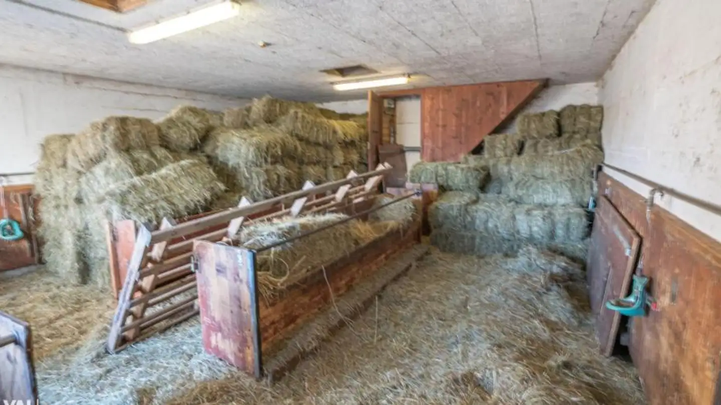 Parkplatz im Freien kaufen - Rohaltenweg 1, 3932 Visperterminen - Foto 4