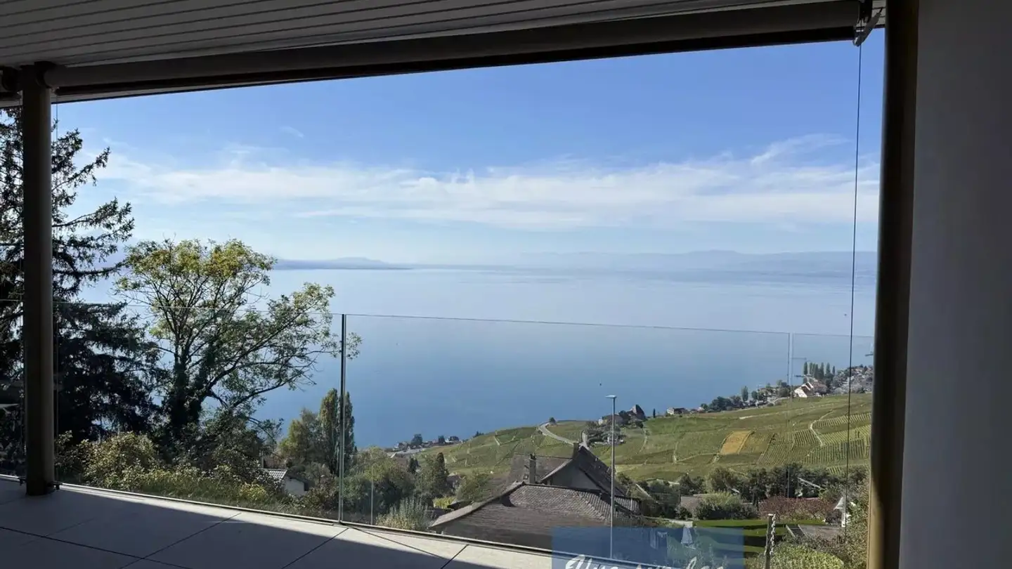 Wohnung kaufen - 1091 Grandvaux - Foto 2