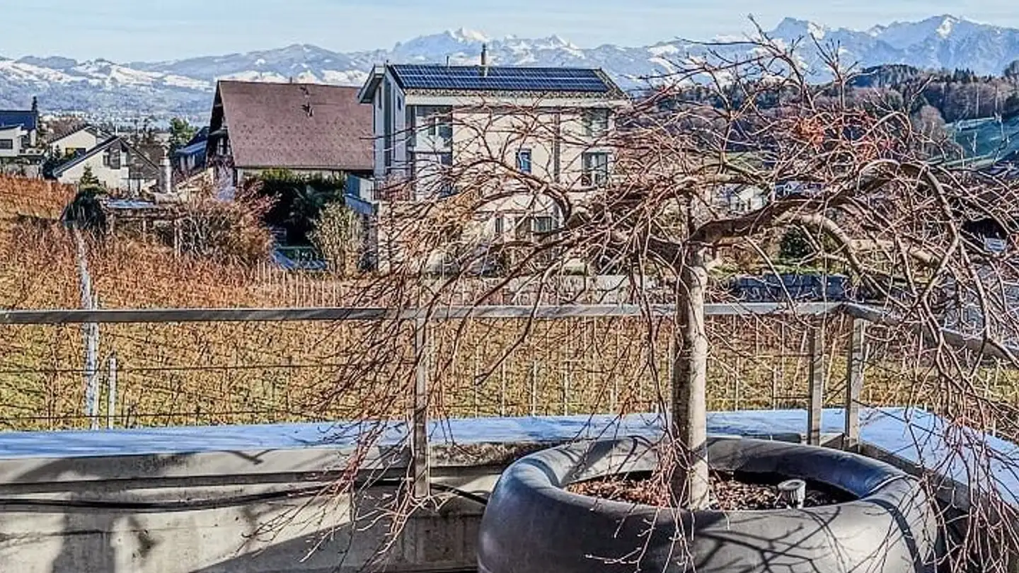 Appartement en terrasse à louer - Eggliweg 18b, 8832 Wilen b. Wollerau - Photo 4