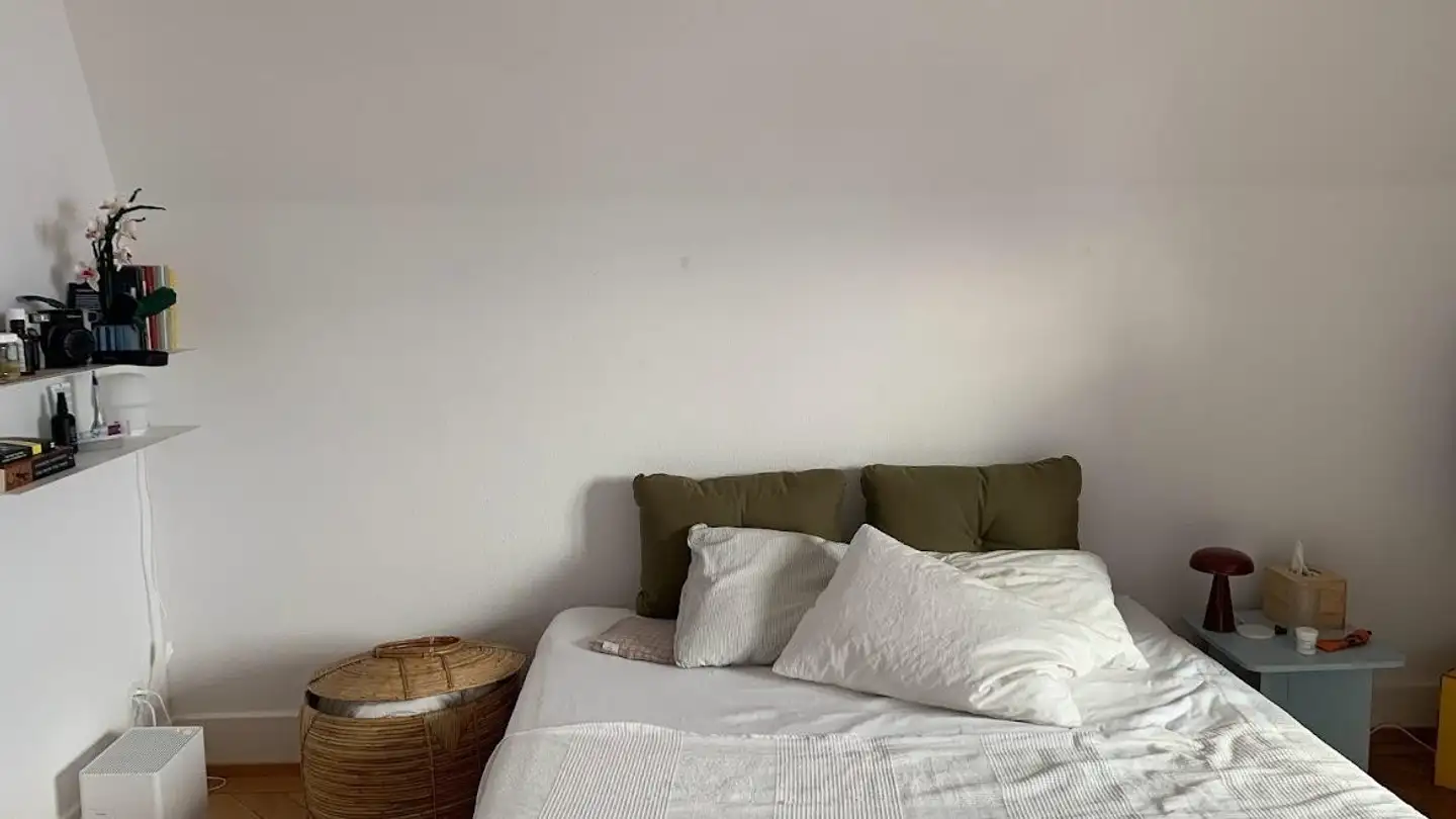 Chambre à louer - Giesshübelstrasse, 8045 Zürich - Photo 2