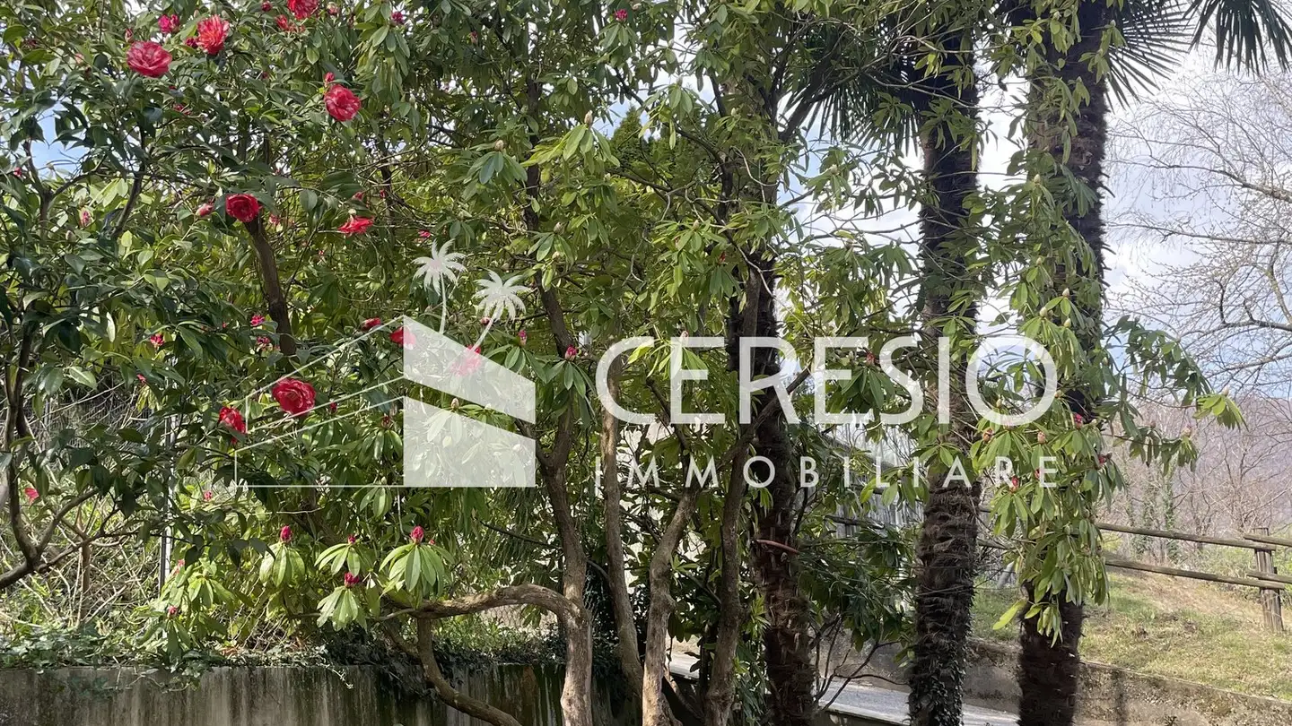 Wohnung kaufen - Via Pradello, 6932 Breganzona - Foto 2