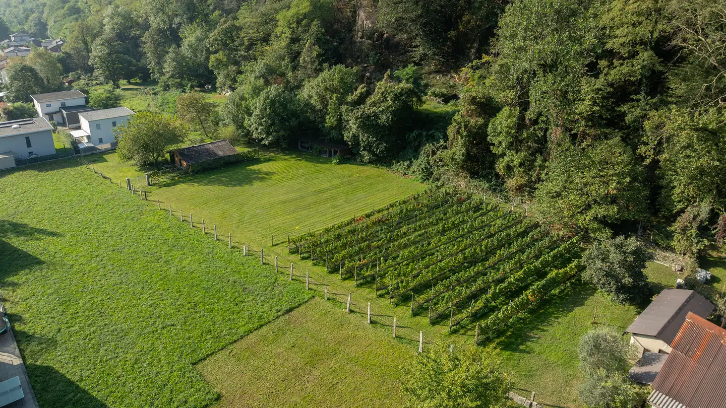 Constructible plot for sale - Via Sciresa, 6527 Lodrino - Photo 4