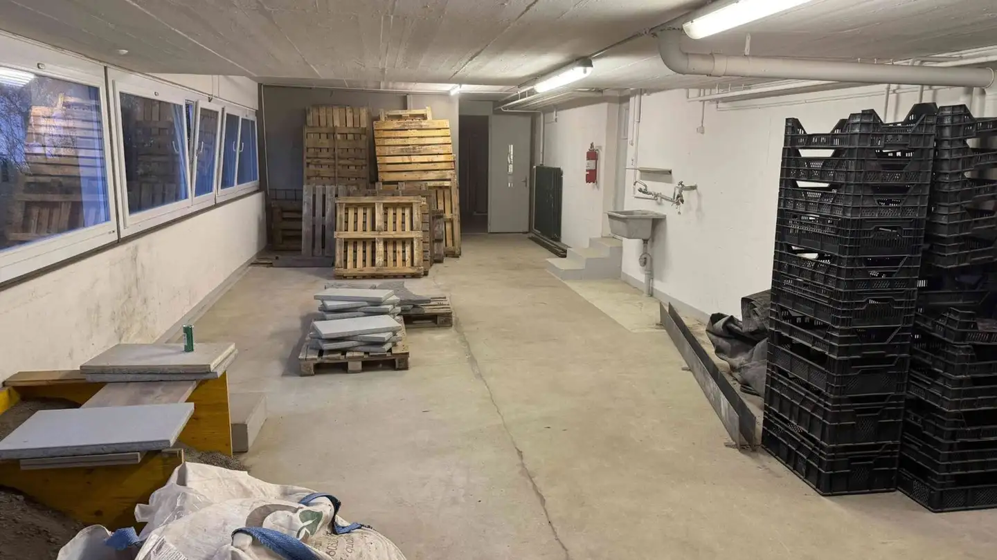 Industrieimmobilie mieten - Schulhausstrasse 1, 6030 Ebikon