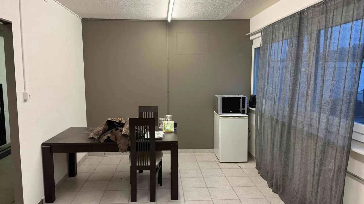 Industrieimmobilie mieten - Schulhausstrasse 1, 6030 Ebikon - Foto 3