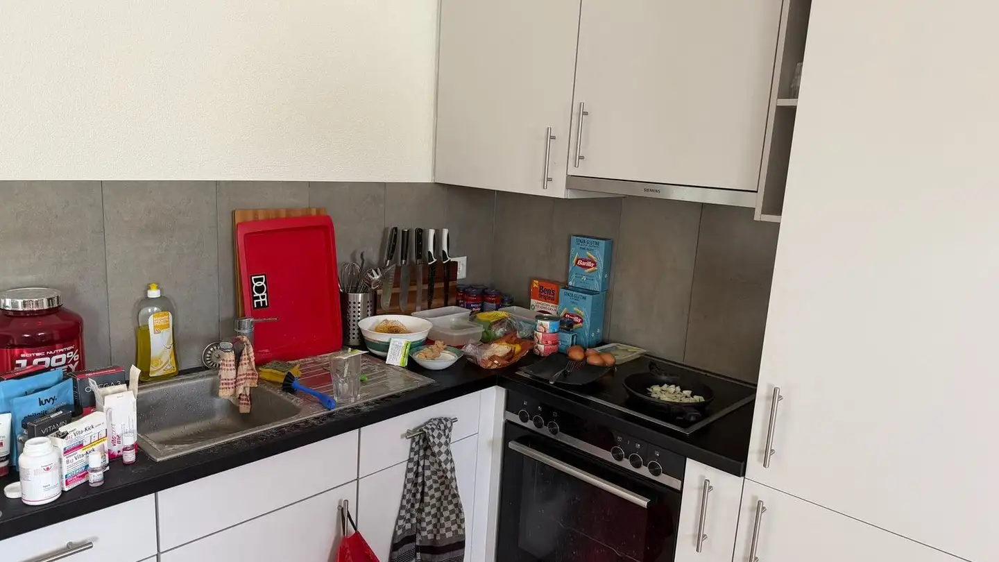 Attic flat for rent - Schaffhauserstrasse, 8472 Seuzach - Photo 3