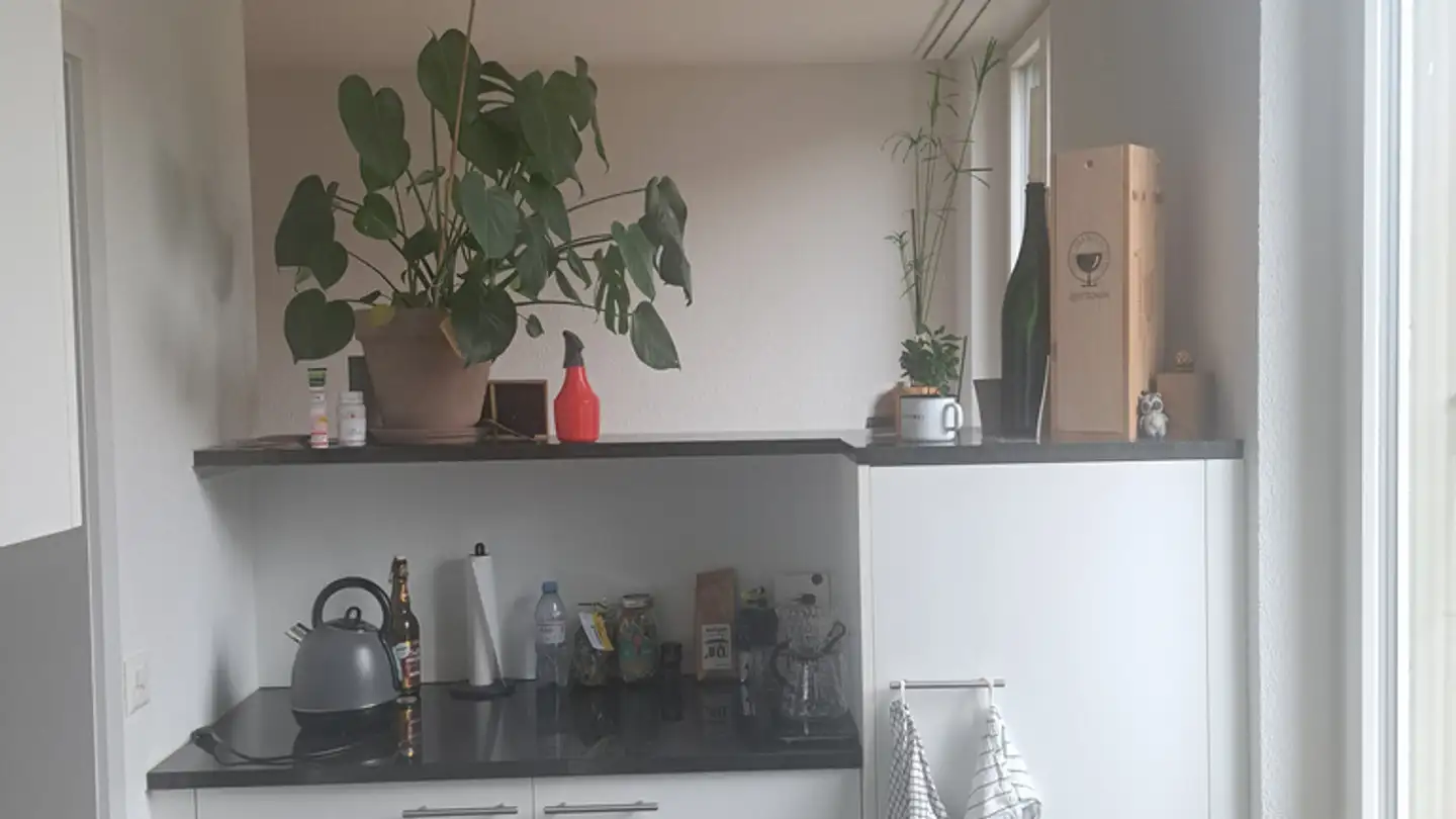 Apartment for rent - Helvetiastrasse 33, 3005 Bern - Photo 2